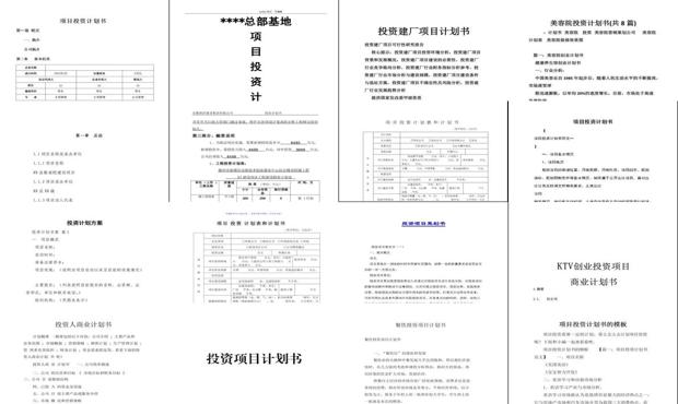 项目投资方案计划书财务资料 - 项目投资方案计划书