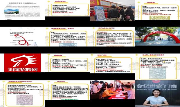 汕尾招聘网最新消息今天 - 汕尾招聘网hr0660