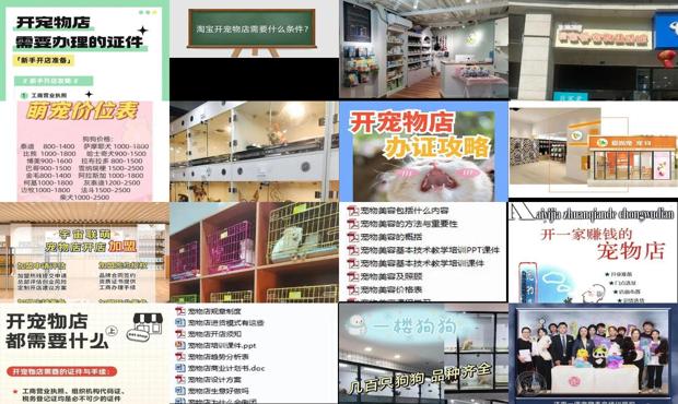 自己开宠物店需要什么条件 - 自己开宠物店需要什么条件